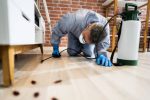 Pest Control Exterminator Services Spraying Cockroach Insecticide